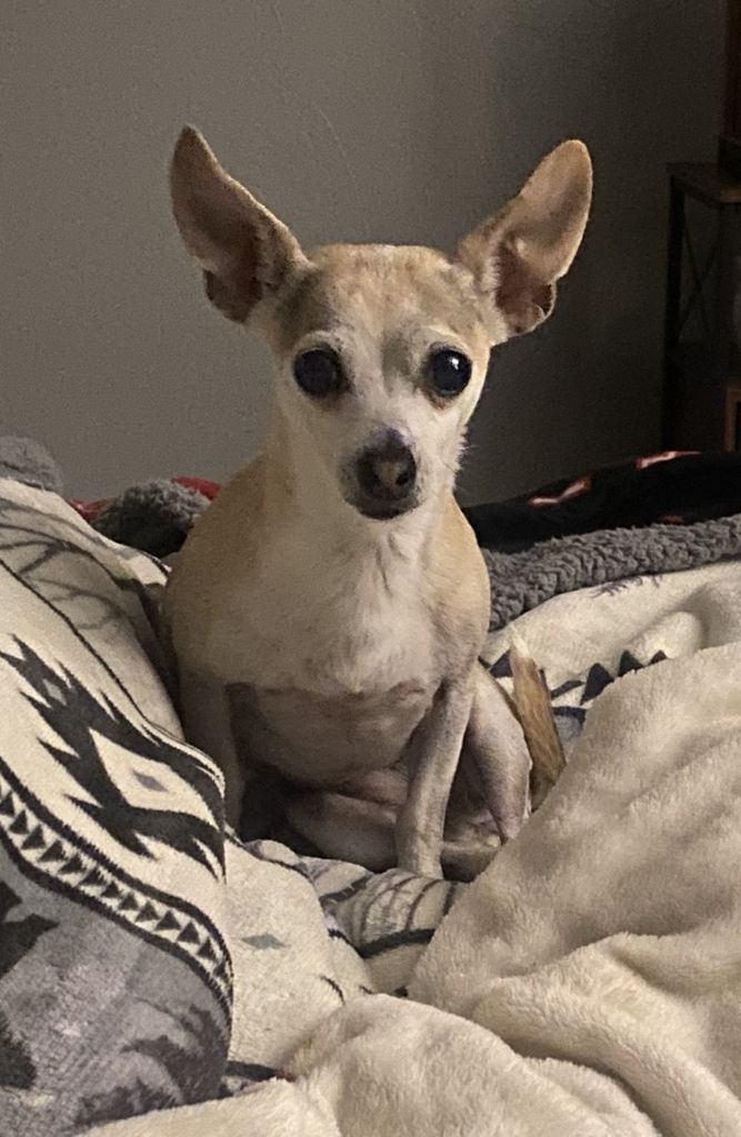 Prissy Profile Photo