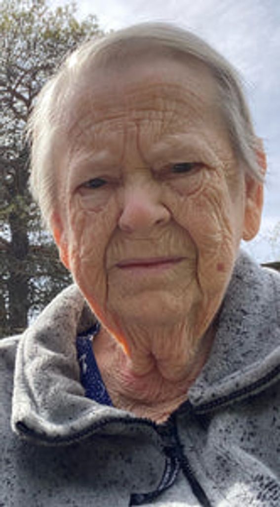 Donna J. Mckiernan Profile Photo