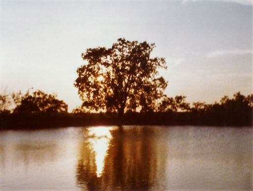 Georgia G Dacus photo gallery thumbnail 212 of 304