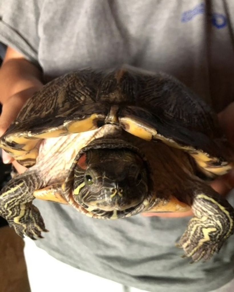 Gwendolyn Barber Profile Photo