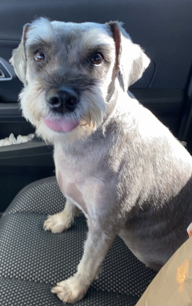 Dakota Profile Photo
