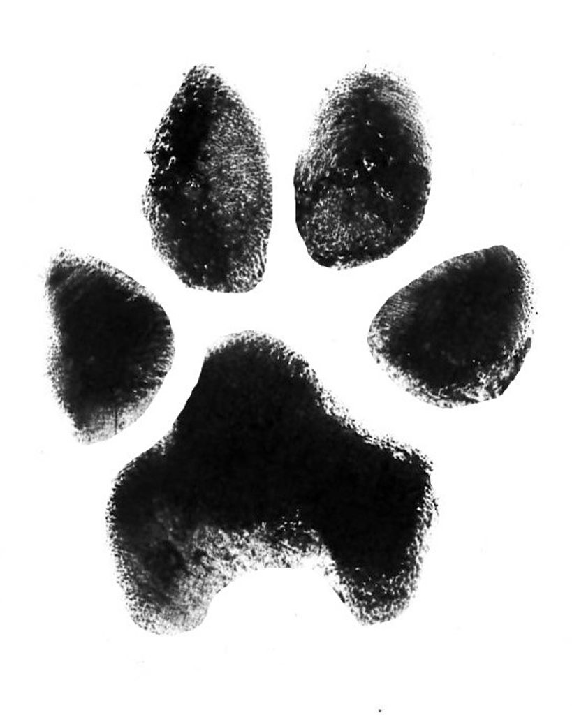 Daisy Williams Profile Photo