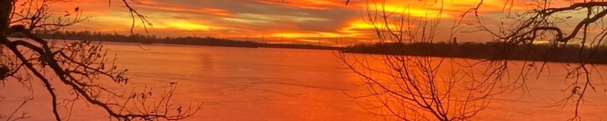 Cover photo for Sharlene Engel's Obituary