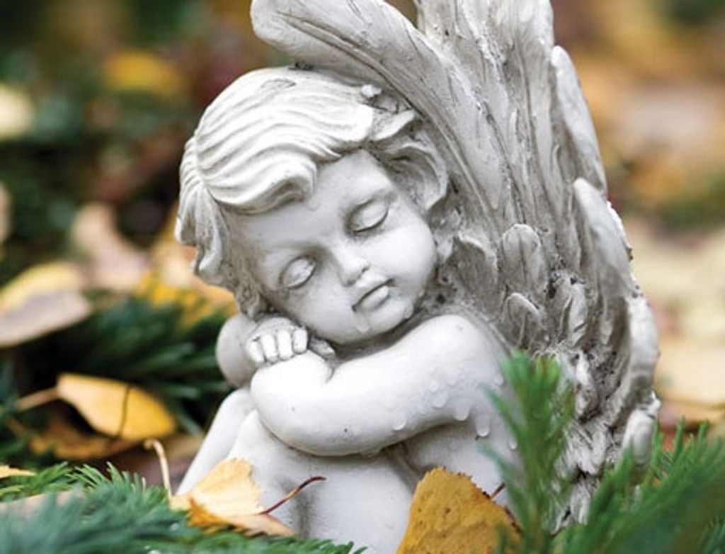 Carol A. Schauer (Welsh) Profile Photo