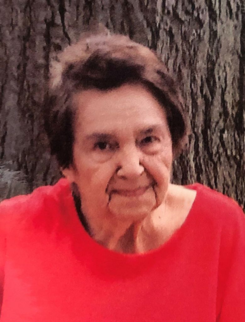 Beverly Ann (Hartwig)  Adamczyk