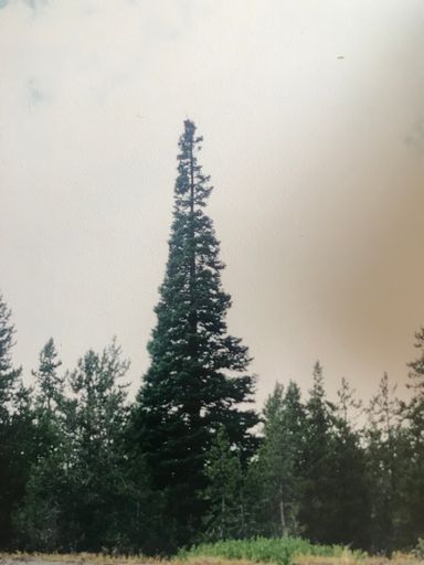 Stephen W. Clark photo gallery thumbnail 93 of 127