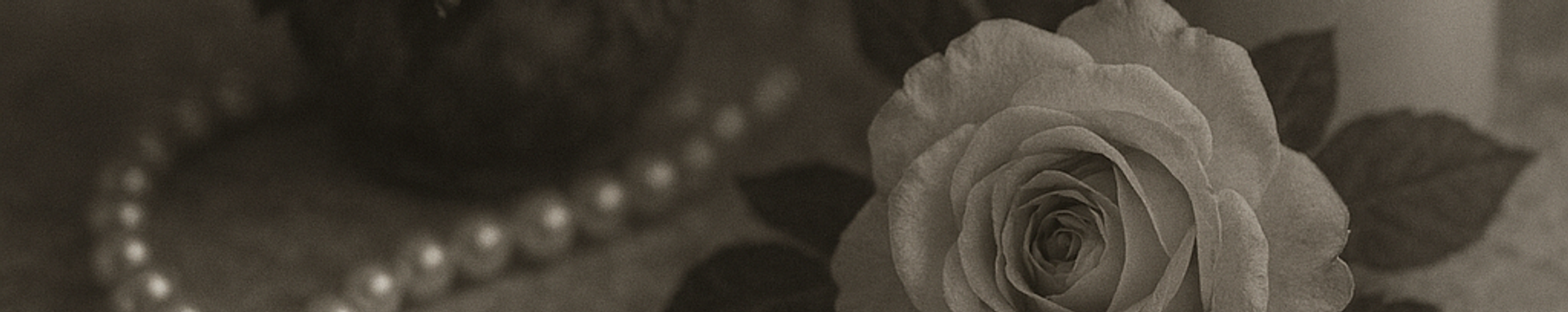 Cover for Else H. Lauterbach's Obituary