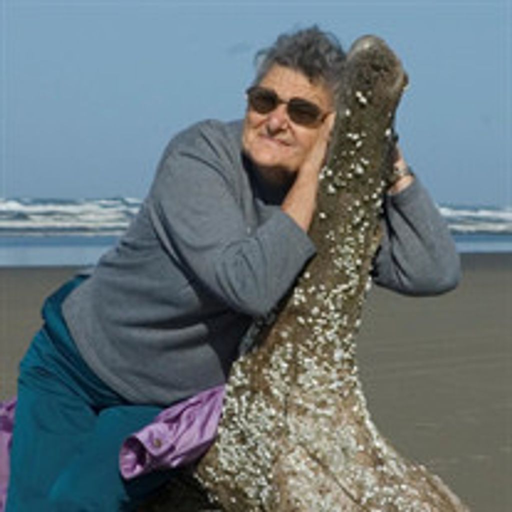 Sue Hanlon