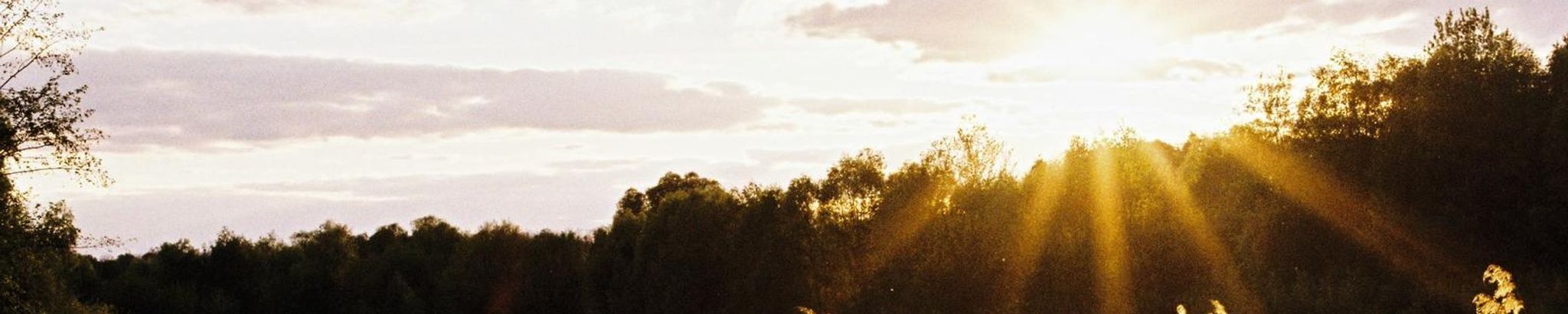 Cover for Bowen Keith Schardt's Obituary