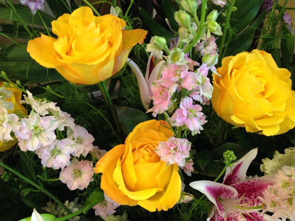 Laura Lee (King) Cox