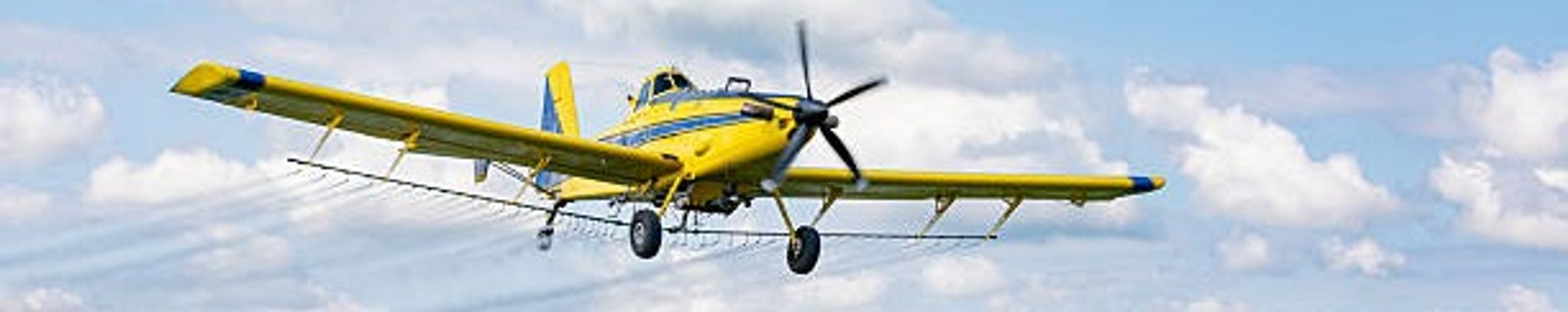 Cover for Charles Reagan Cook's Obituary