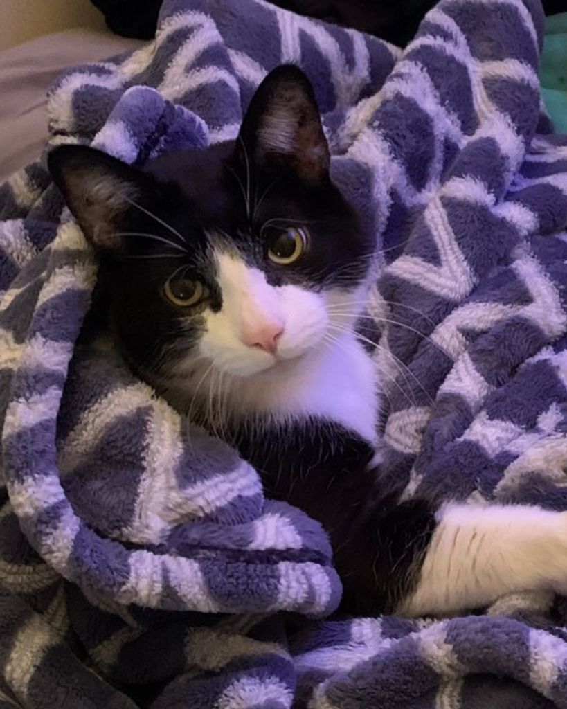 Malachi Martin Profile Photo