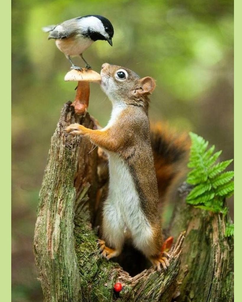 Darlene Elizabeth Brand