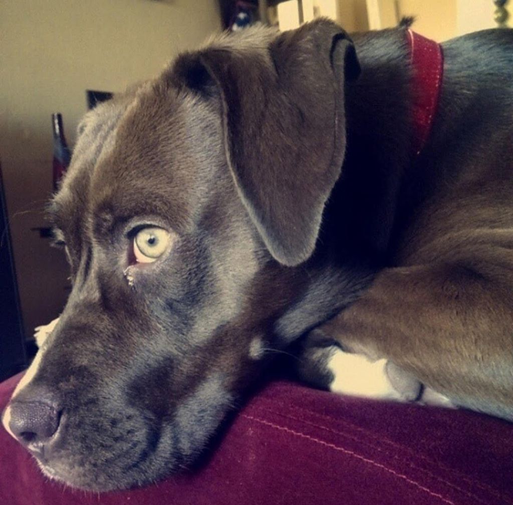Riley Profile Photo