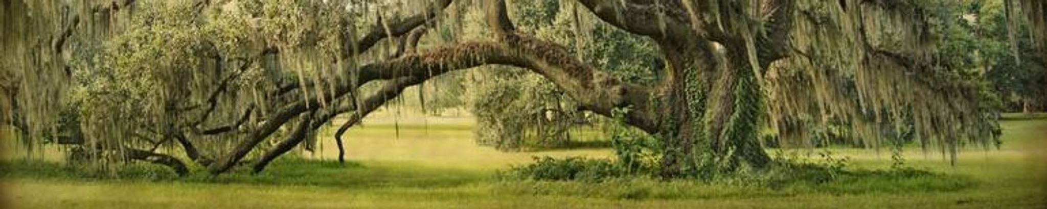 Cover photo for Victor Gordon Anderson Jr.'s Obituary
