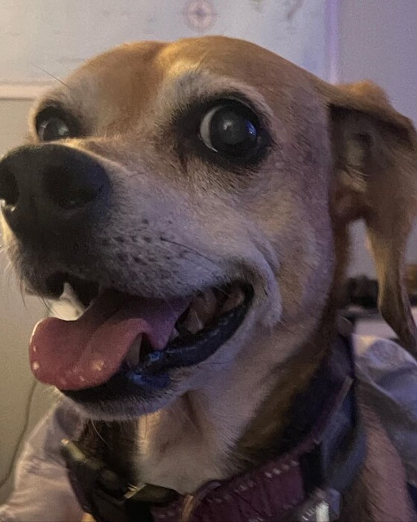 Gracie May Weatherington Profile Photo