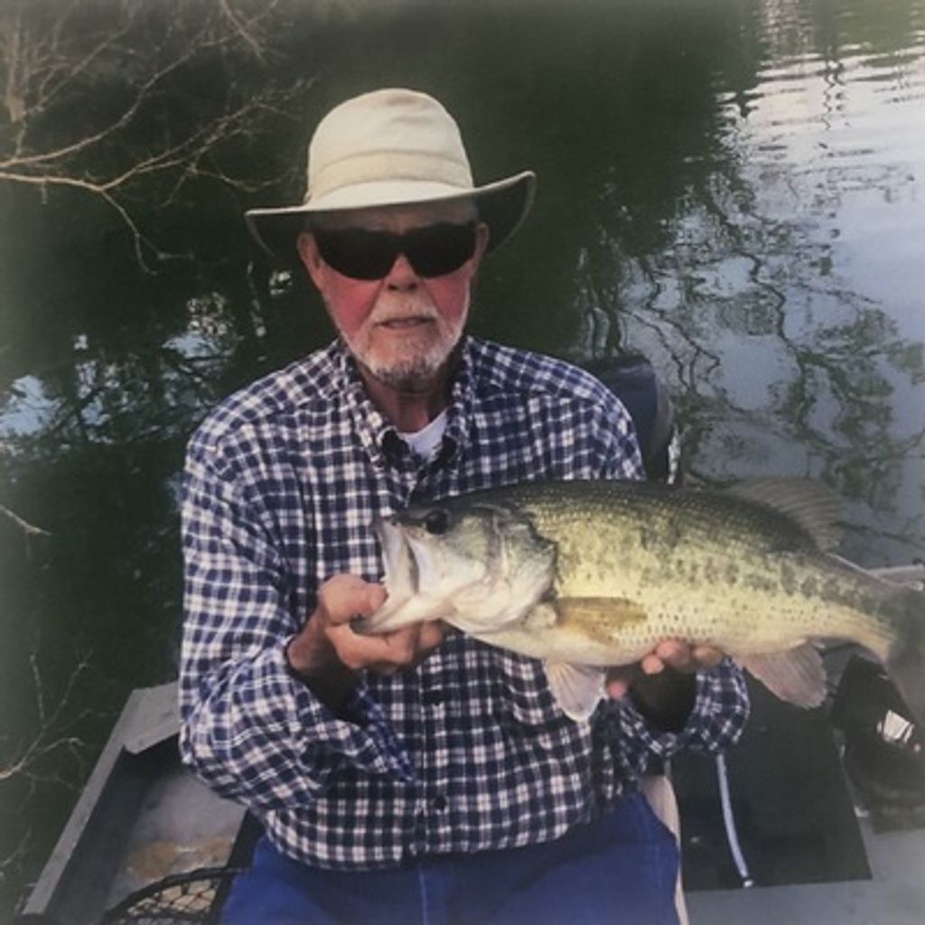 Douglas Stamm Profile Photo