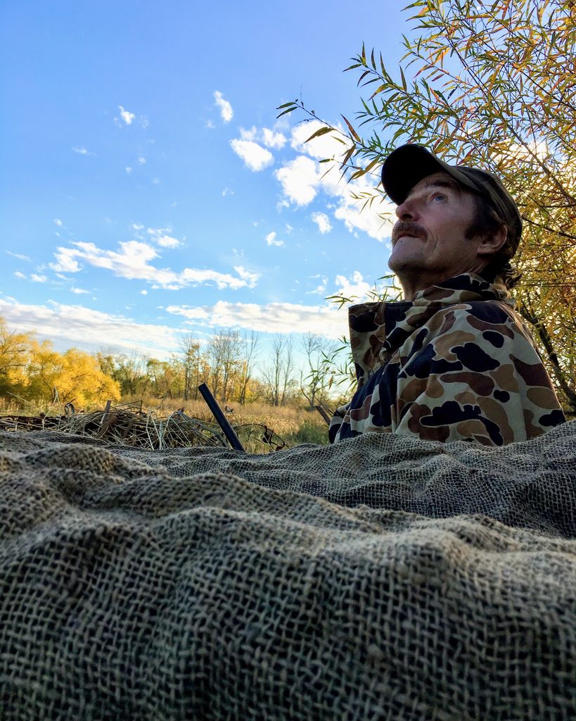 David C Mardis Profile Photo