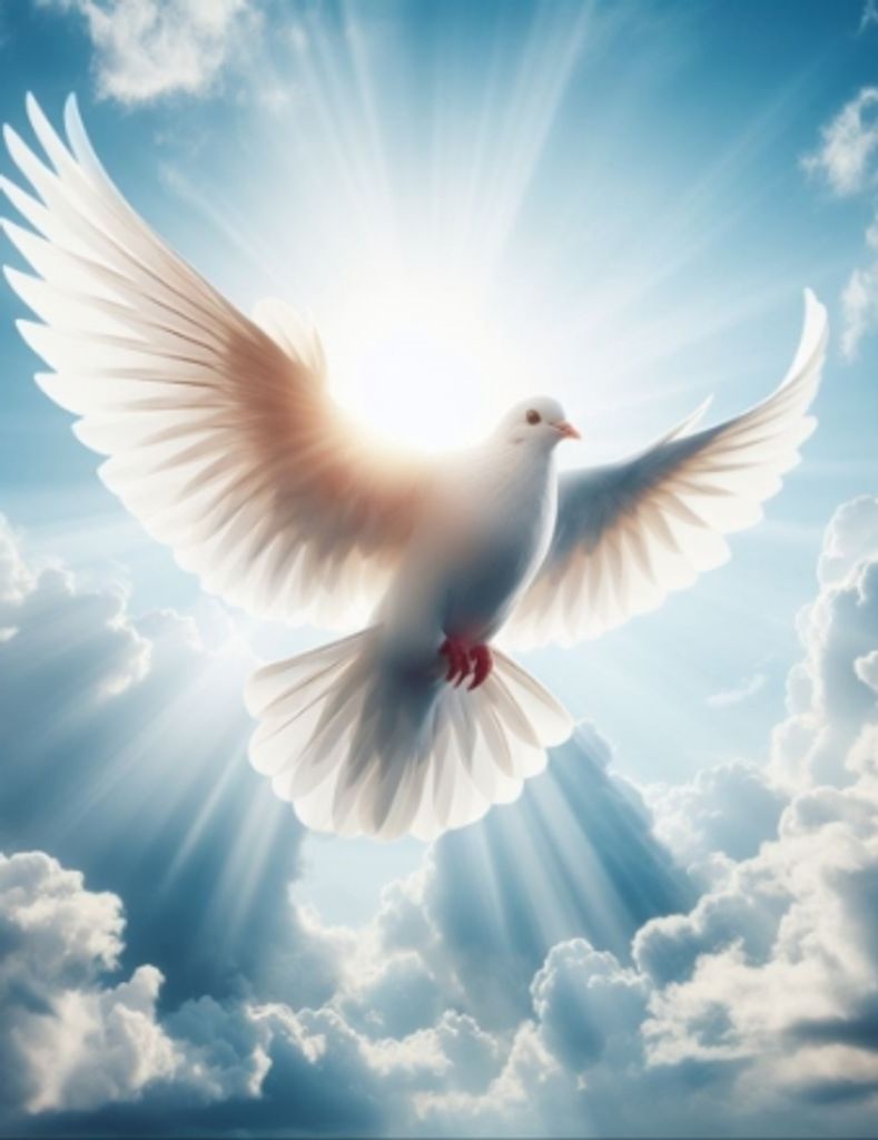 Mr. Neil Eric Berger