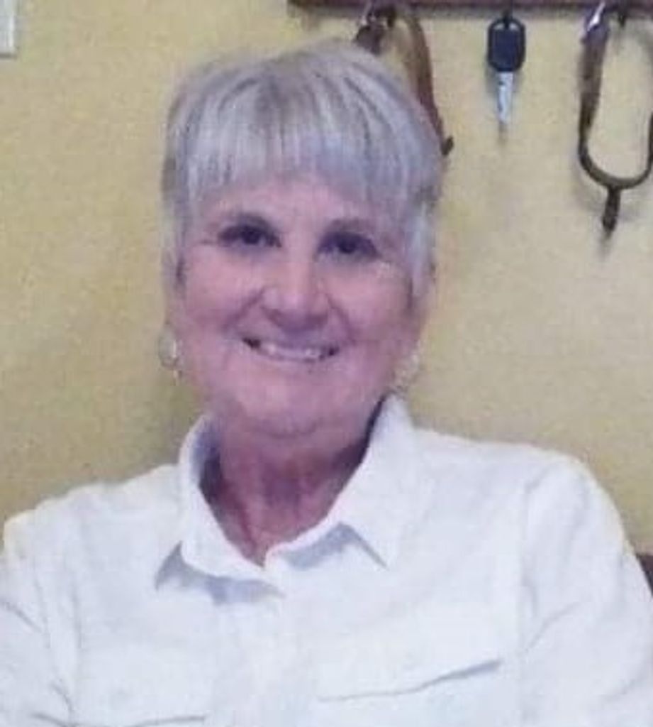 Patricia Ann (Wildharber)  Morrison Profile Photo
