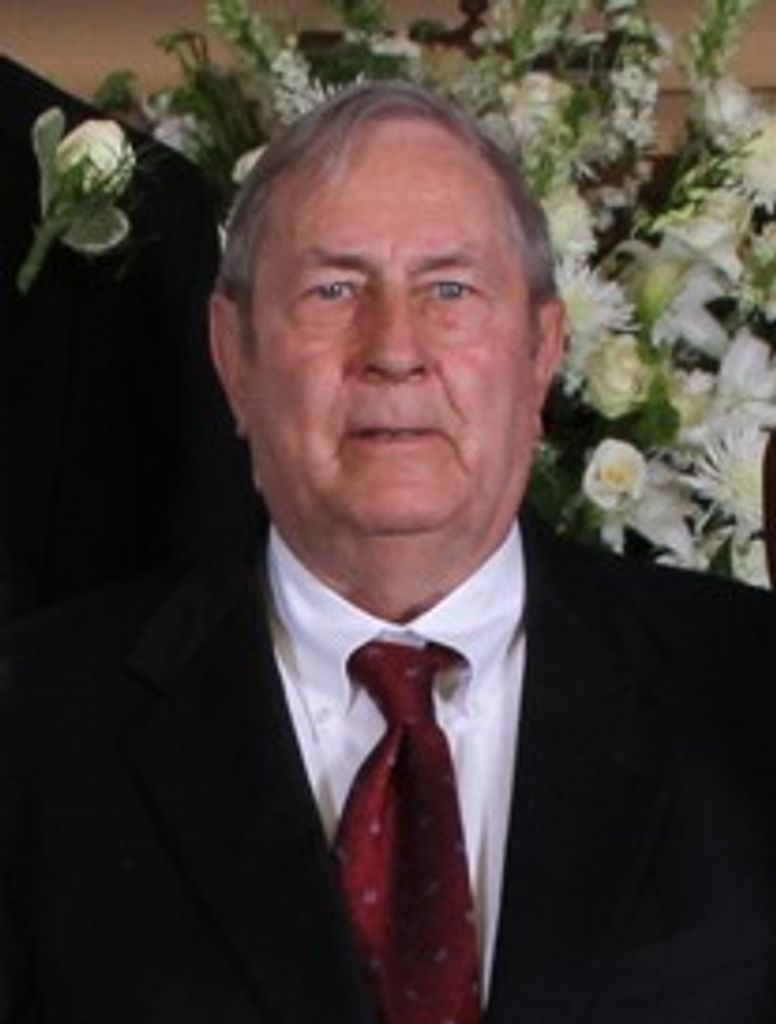 Melton Merle Peacock