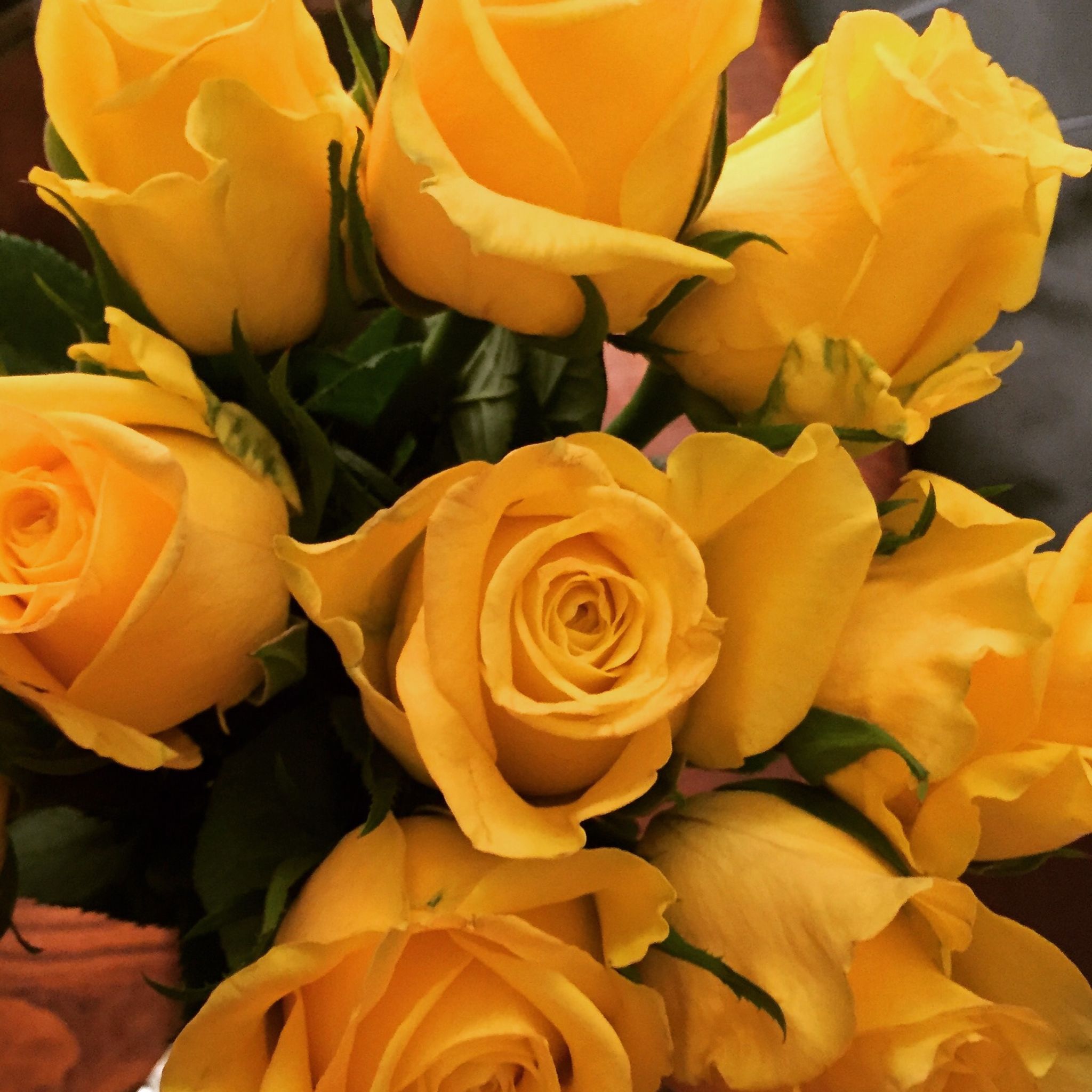 Cover photo for Judith Ann Halbert's Obituary