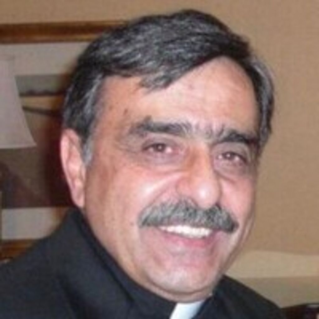 Georges J. Faddoul