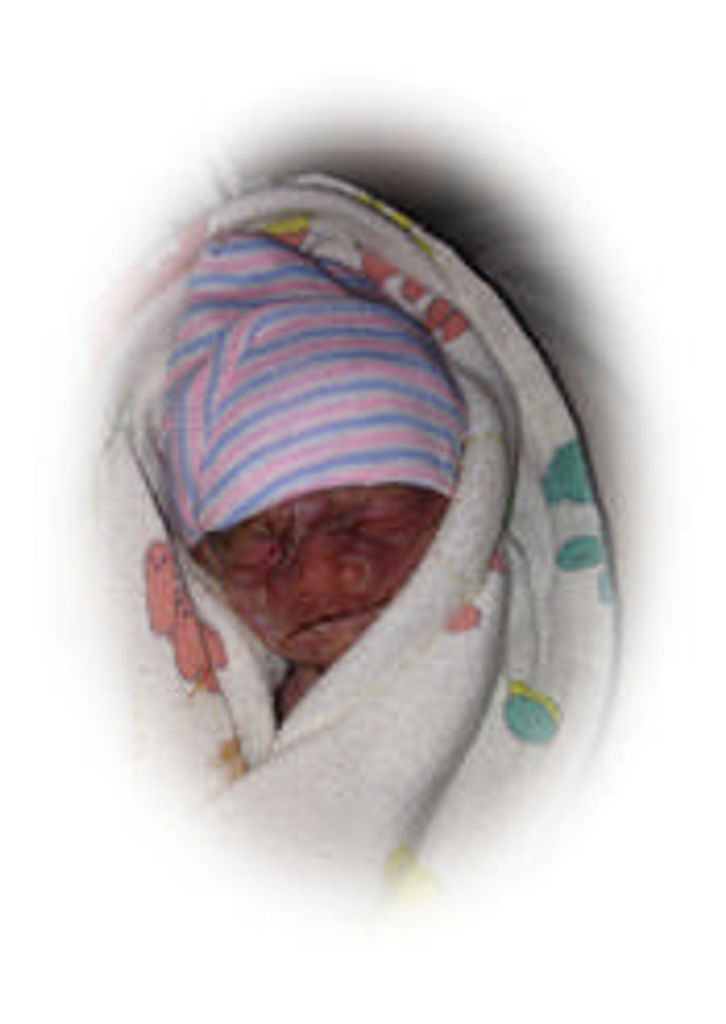 Dillinger Ray Wise Spirit Profile Photo