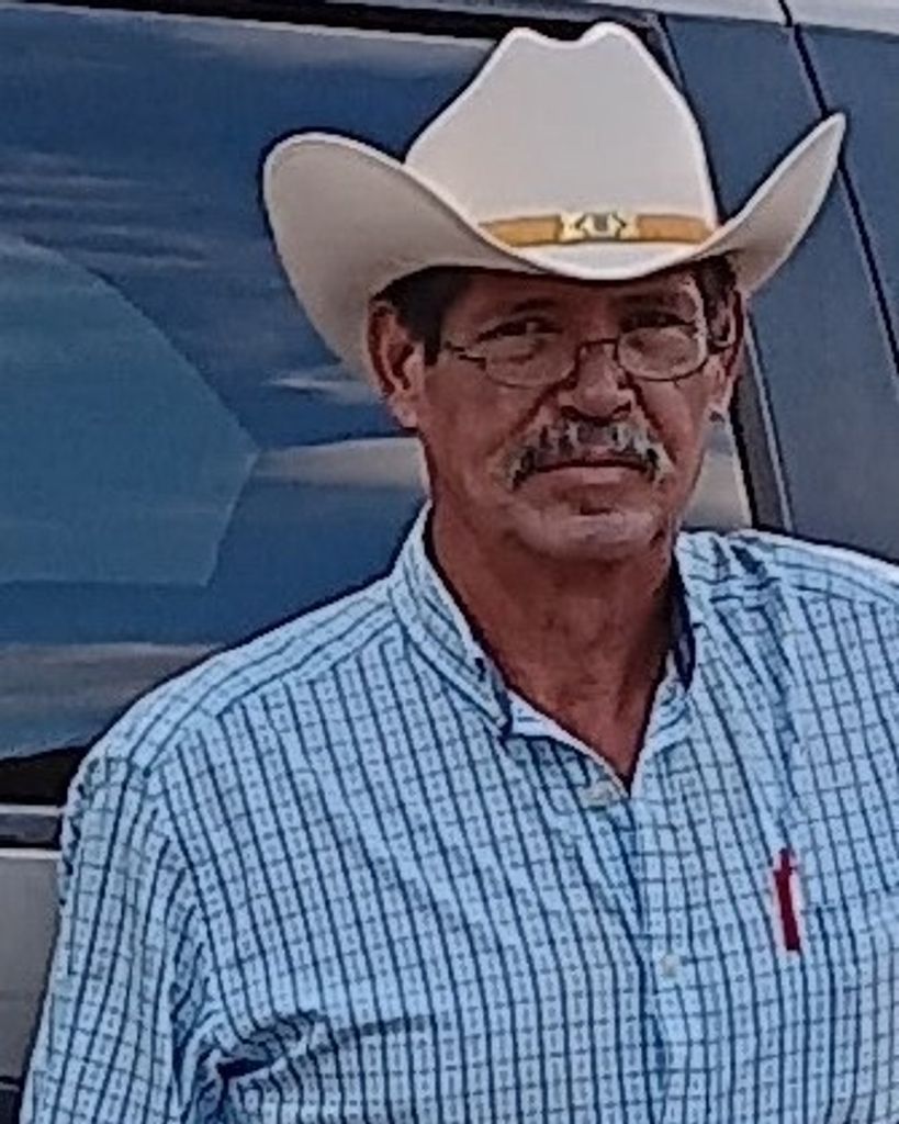 Delfino Herrera Mena