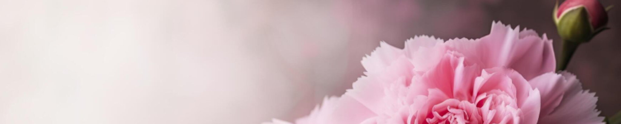 Cover for Viola Kate Casey's Obituary