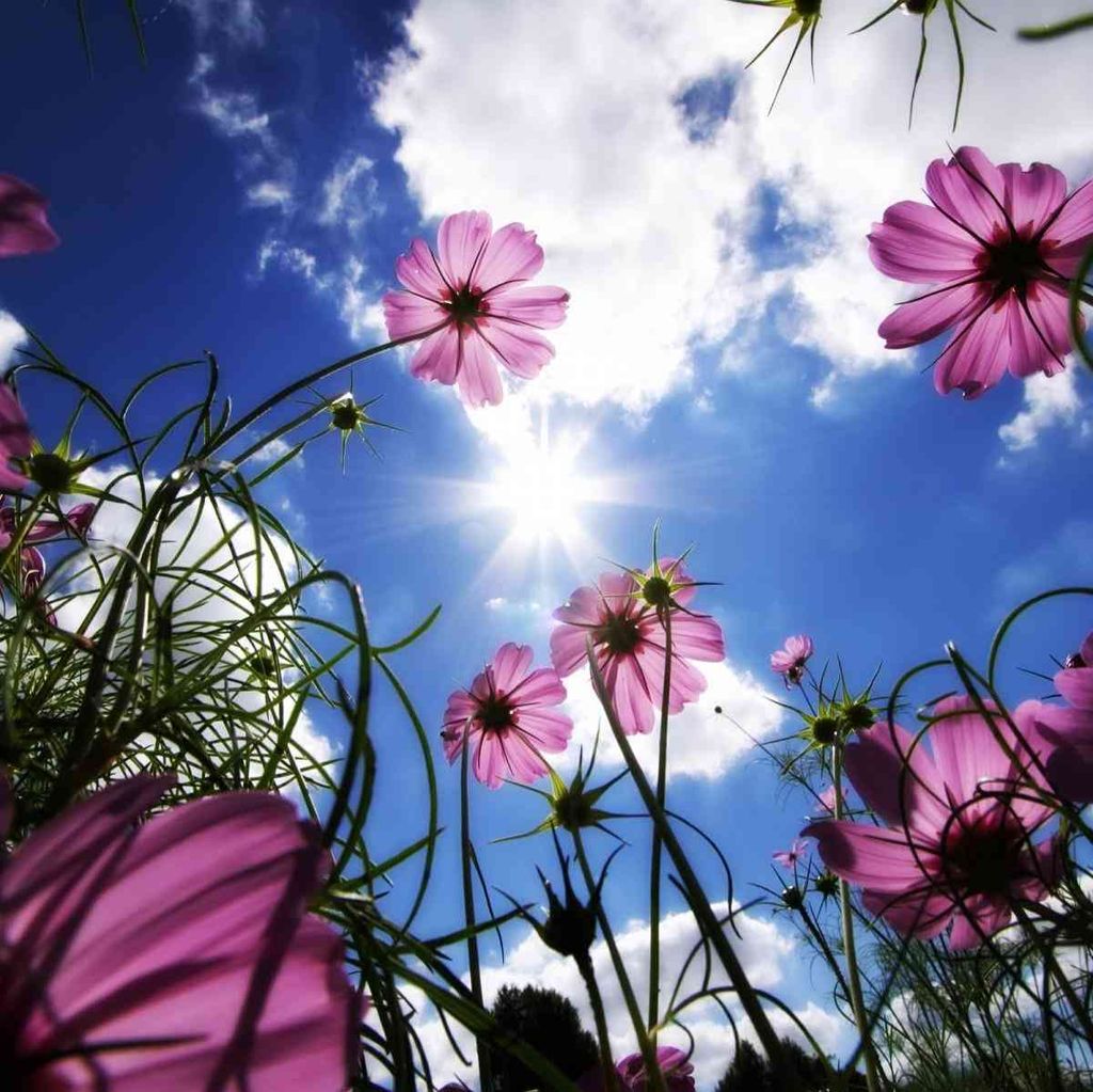 Benny Obiet Profile Photo