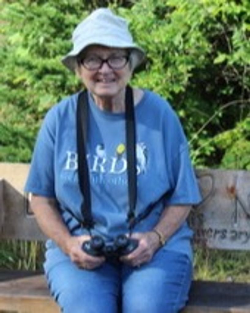 Nancy Lee Green