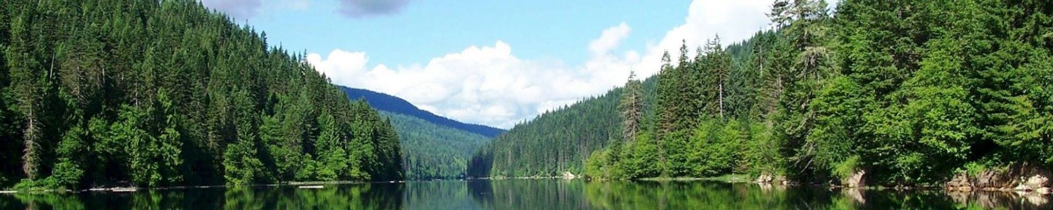 Cover photo for Norman N. Haugard's Obituary