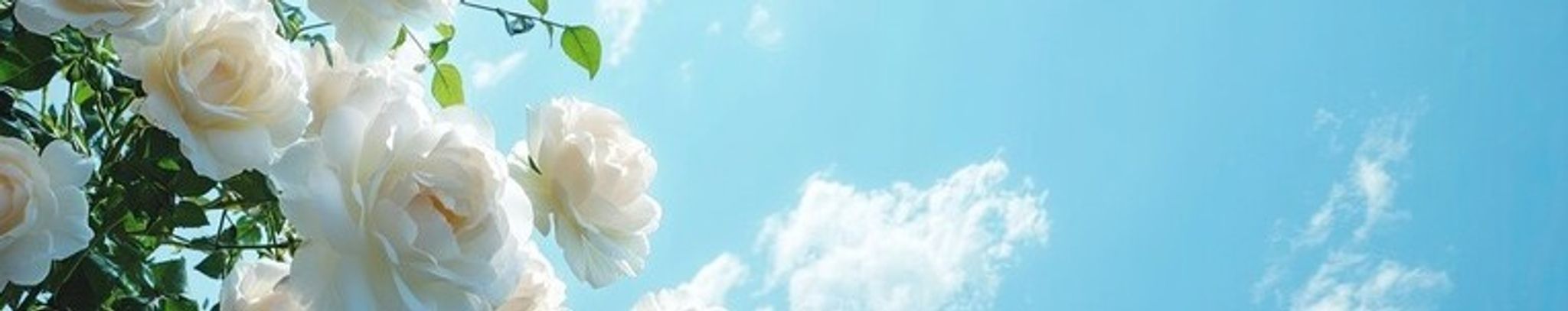 Cover photo for Khamta Keoborakot's Obituary