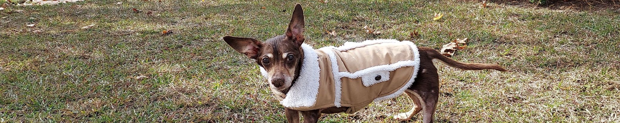 Cover for Paris Newell's Obituary