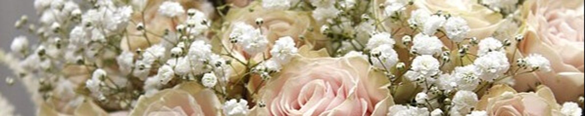 Cover photo for Laura Martinez's Obituary