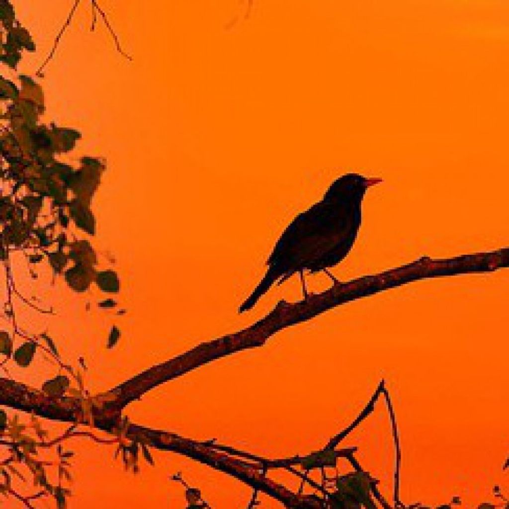 Rodney Allen Zimmerman, Sr. Profile Photo