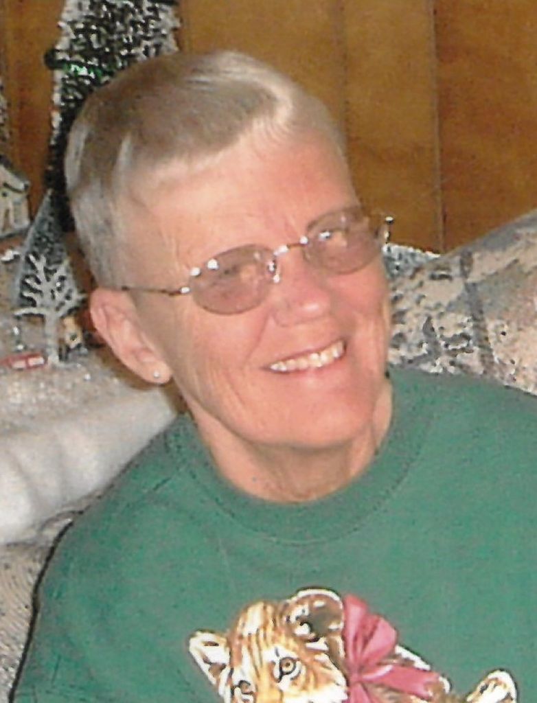 Carole Ann Domres