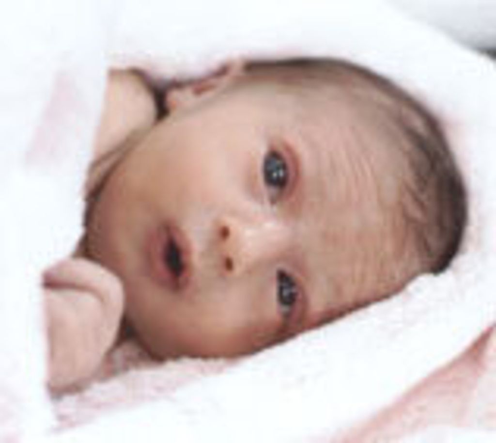 Isabella Rose Schultz