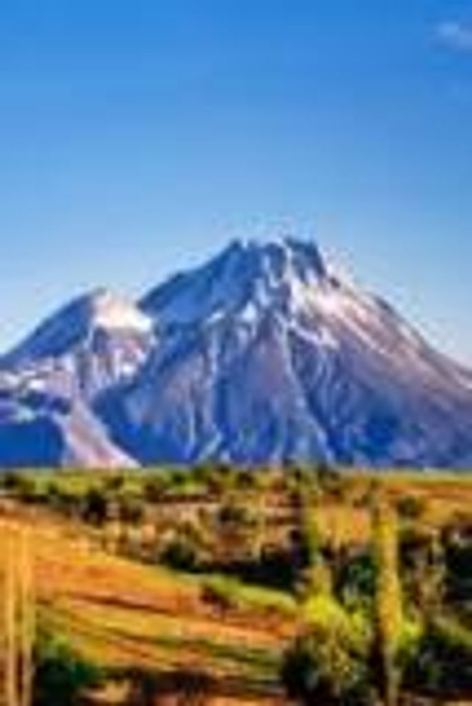 Durina  Lynn King Profile Photo