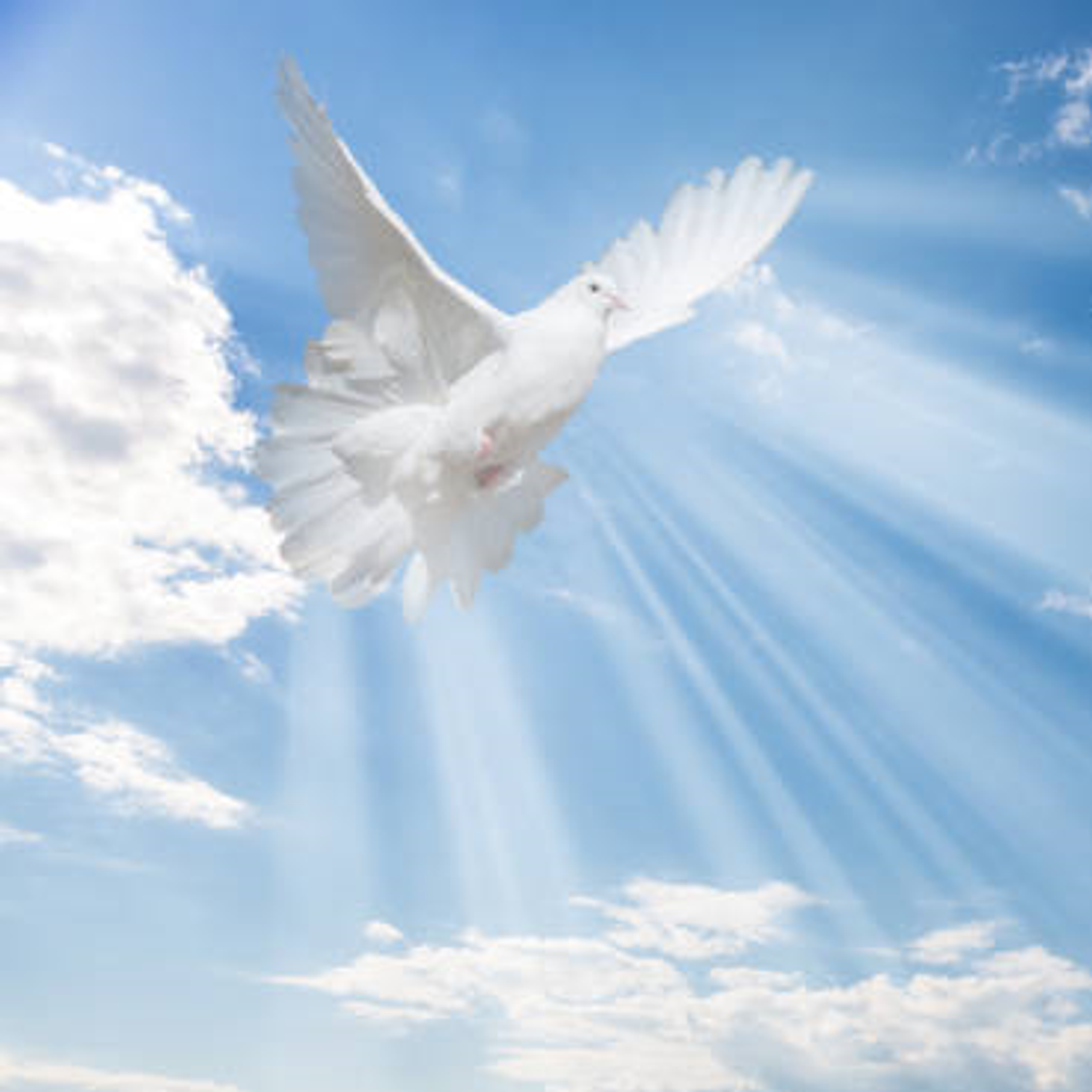 Sandra Mcmullen Profile Photo