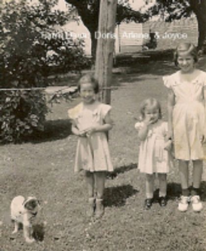 Joyce E. Ross photo gallery thumbnail 21 of 45