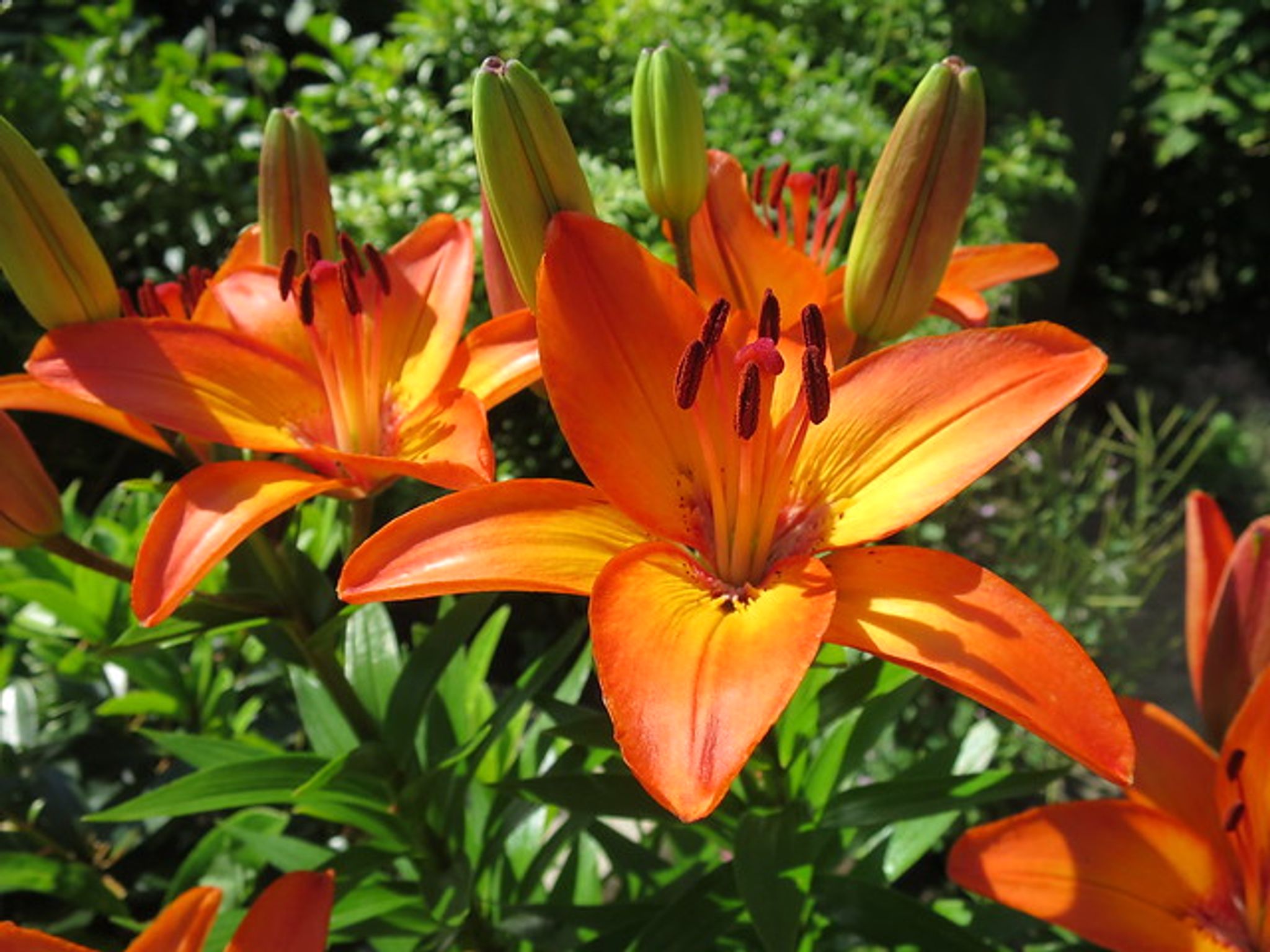Cover photo for Jennifer Lyn Smith's Obituary