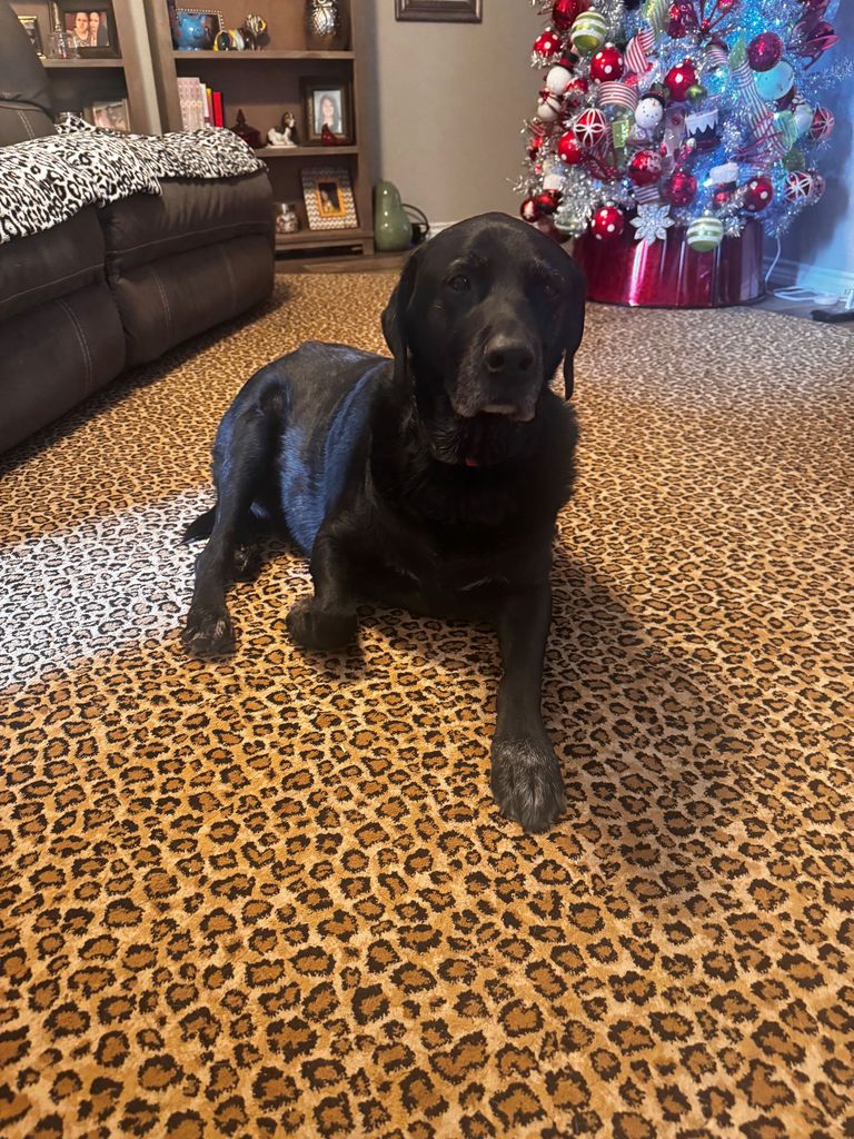 Tyson Profile Photo
