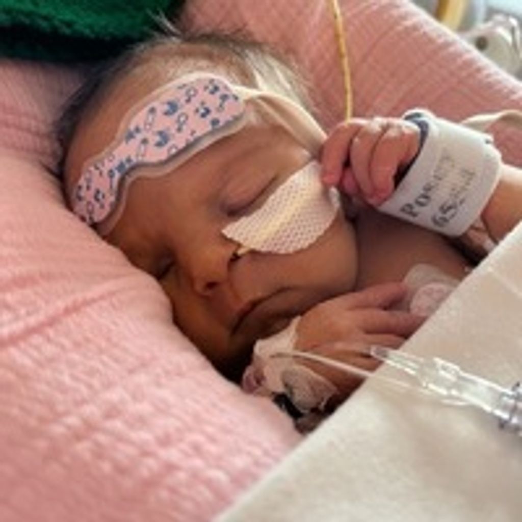 Penny Ann Van Den Hul