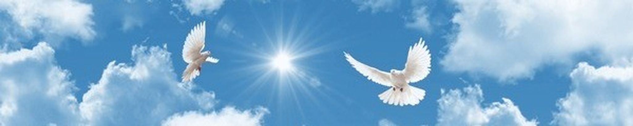 Cover for Mary Wan's Obituary