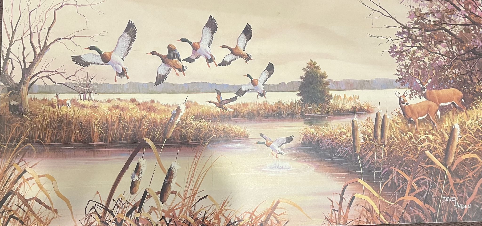 Cover for Todd Prorok's Obituary