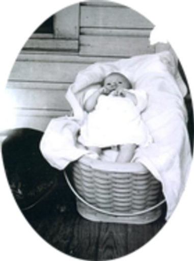 Shirley Shepherd Jones Profile Photo