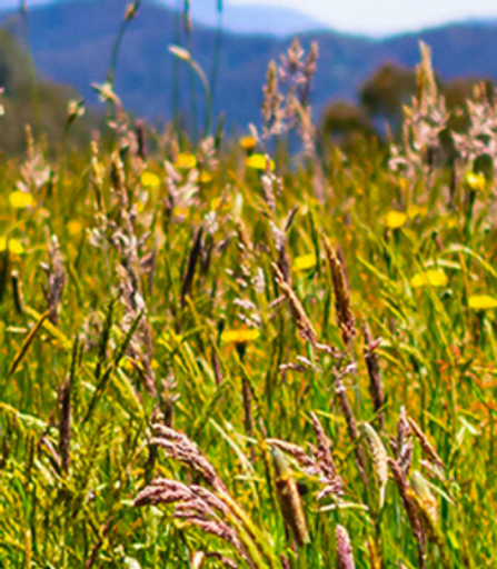 Tony Ray Lucado Profile Photo