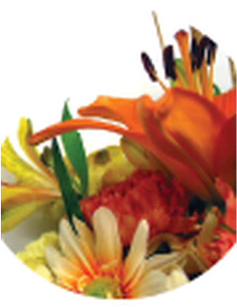 Hilda Louise (Warren) Johnson